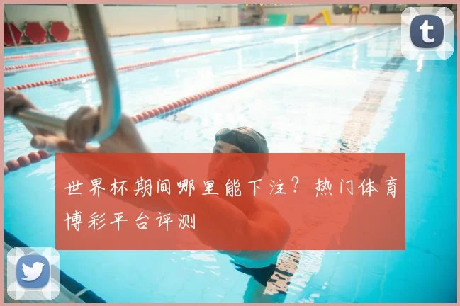 世界杯期间哪里能下注？热门体育博彩平台评测