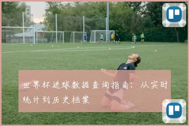 世界杯进球数据查询指南:从实时统计到历史档案
