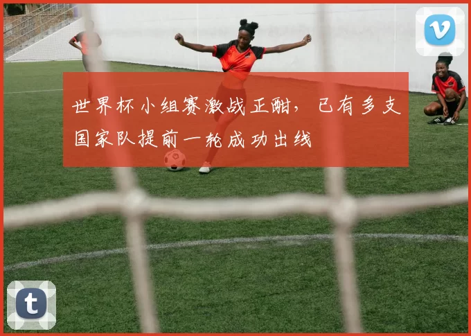 世界杯小组赛激战正酣，已有多支国家队提前一轮成功出线