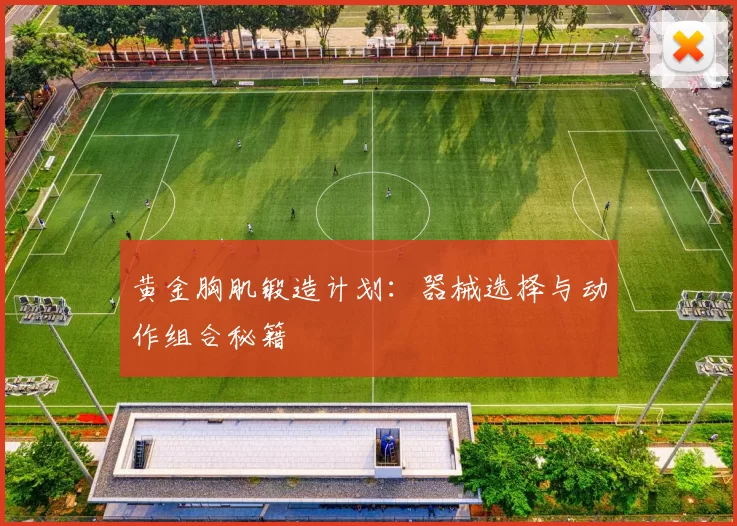 黄金胸肌锻造计划:器械选择与动作组合秘籍