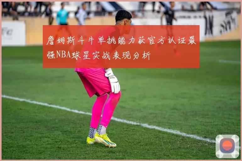 詹姆斯斗牛单挑能力获官方认证最强NBA球星实战表现分析