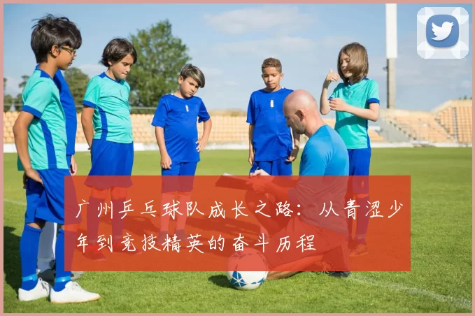 广州乒乓球队成长之路：从青涩少年到竞技精英的奋斗历程
