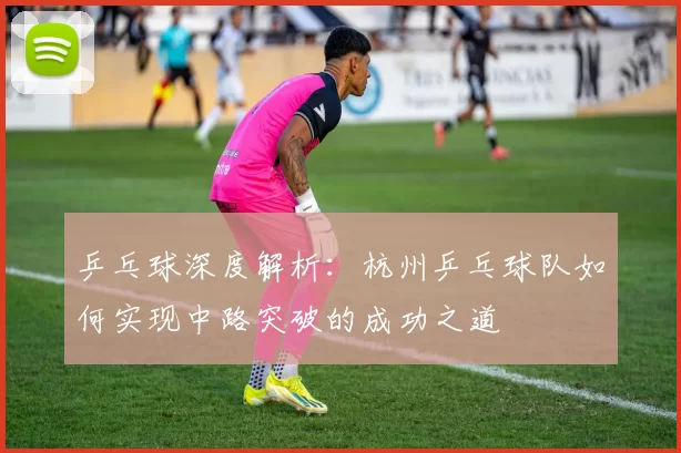 乒乓球深度解析：杭州乒乓球队如何实现中路突破的成功之道