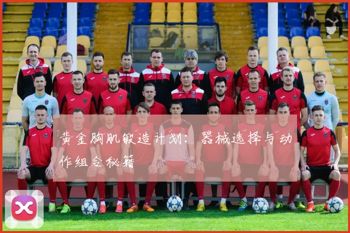 黄金胸肌锻造计划:器械选择与动作组合秘籍