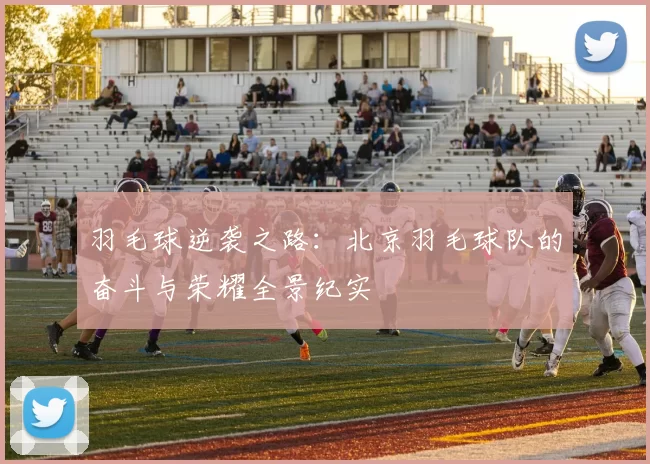 羽毛球逆袭之路:北京羽毛球队的奋斗与荣耀全景纪实