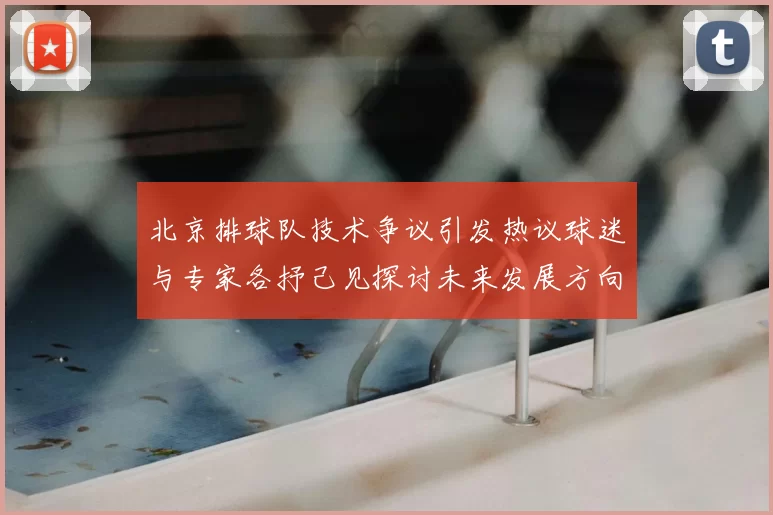 北京排球队技术争议引发热议球迷与专家各抒己见探讨未来发展方向