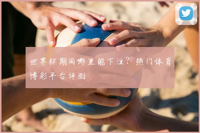 世界杯期间哪里能下注？热门体育博彩平台评测