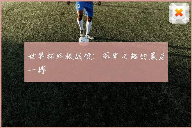 世界杯终极战役：冠军之路的最后一搏