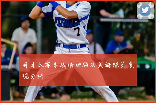 奇才队赛季战绩回顾及关键球员表现分析